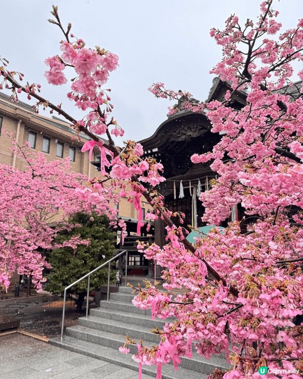 中野區的「ただいま変身中」是一家知名的拉麵店，以創新的鯛魚和...