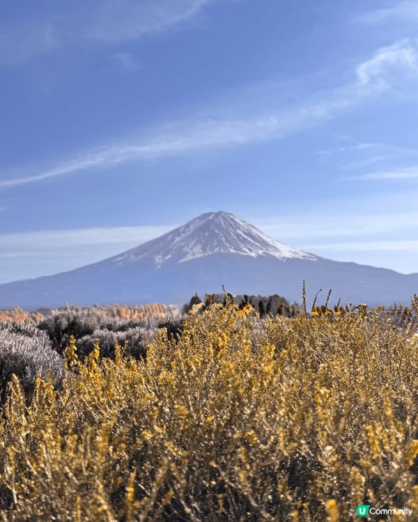 中野區的「ただいま変身中」是一家知名的拉麵店，以創新的鯛魚和...