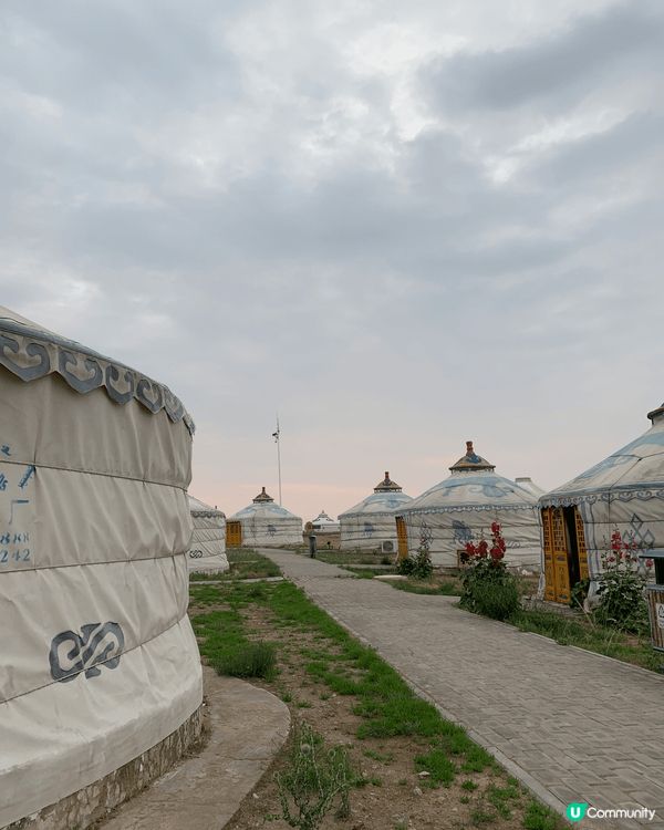 感受內蒙古的壯美風光，清晨觀賞草原，感受大自然的讚美，騎駱駝...