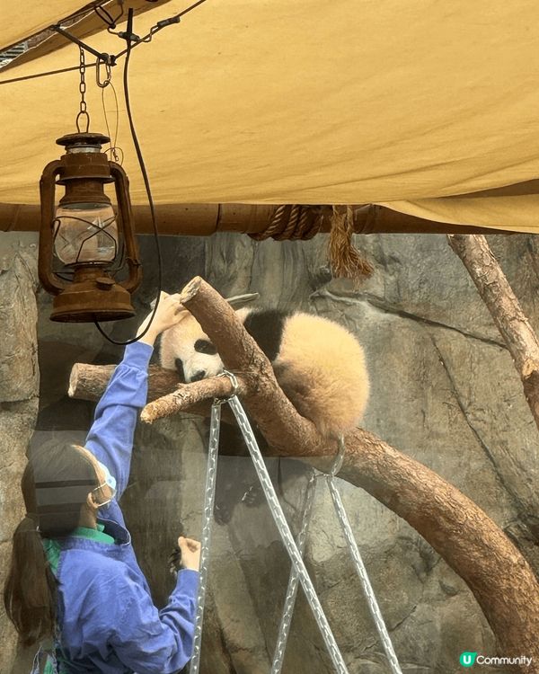 有乜咁好彩呀 我生日遇上高峰樂園暫停開放！