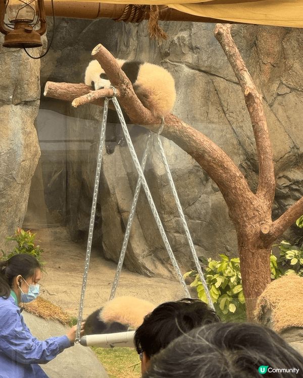 有乜咁好彩呀 我生日遇上高峰樂園暫停開放！