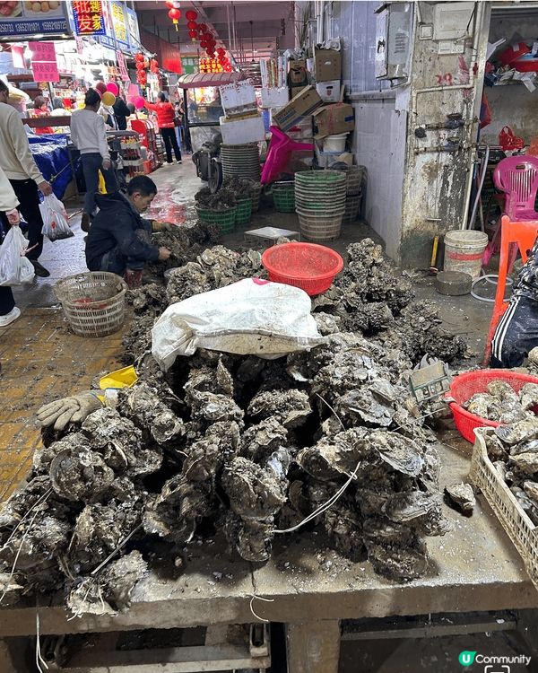 新年回鄉(台山)過新年，行程日數為3日2夜，享用台山蠔，台山...