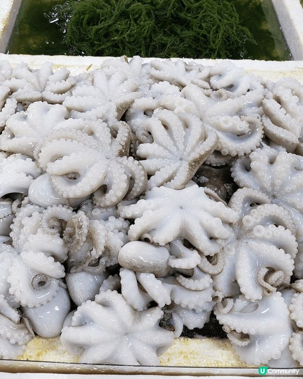 說起海鮮，愛吃會吃的朋友們一定會忍不住流口水，來珠海必定不能...