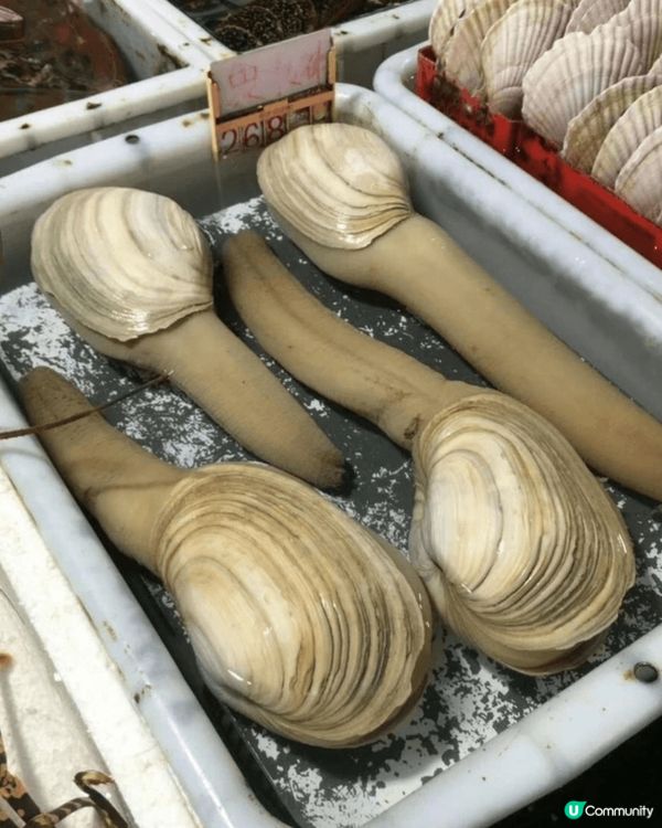 說起海鮮，愛吃會吃的朋友們一定會忍不住流口水，來珠海必定不能...