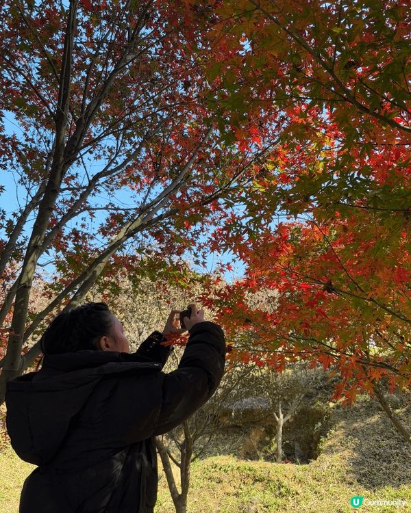 聖誕節來個簡單的自駕遊，預約了一間從化民宿，入住後民宿有小活...