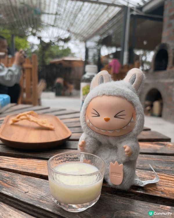 聖誕節來個簡單的自駕遊，預約了一間從化民宿，入住後民宿有小活...