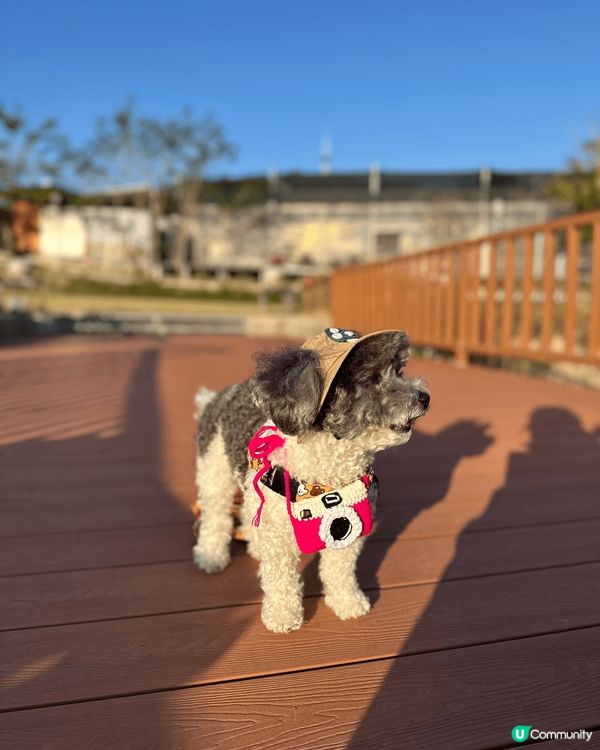 同小犬去蓮麻坑湖畔山谷兩日一夜度假