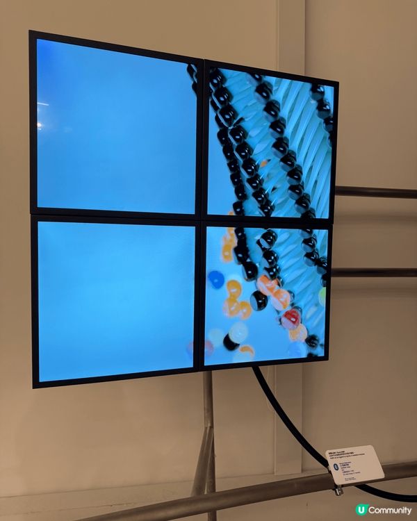 細細👶🏻初生嗰陣聽嘅白噪音～