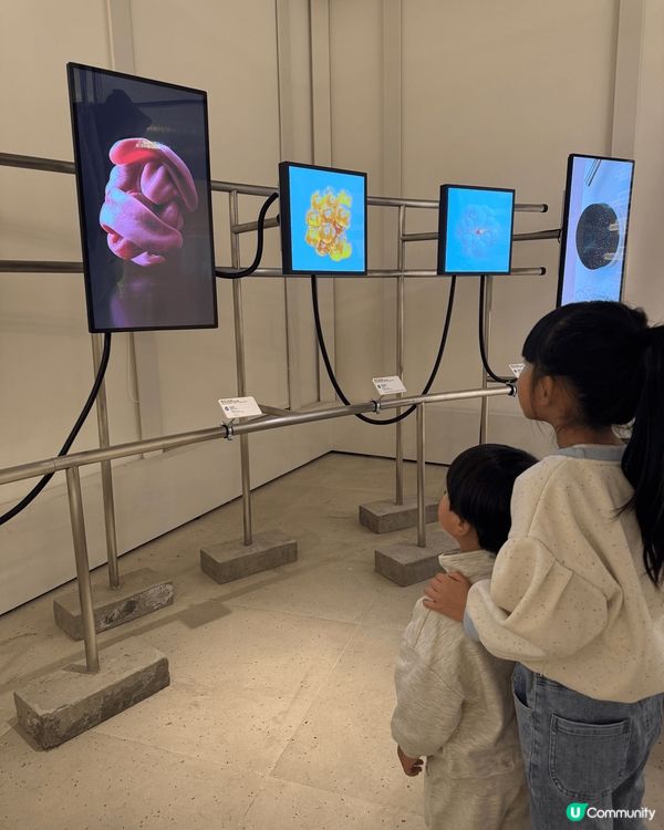 細細👶🏻初生嗰陣聽嘅白噪音～