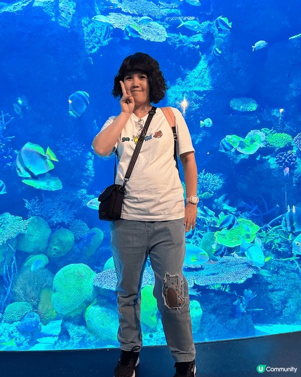 呢個係今年一月尾去曼谷的旅行相，去咗幾日主要都係打卡食嘢，鄭...