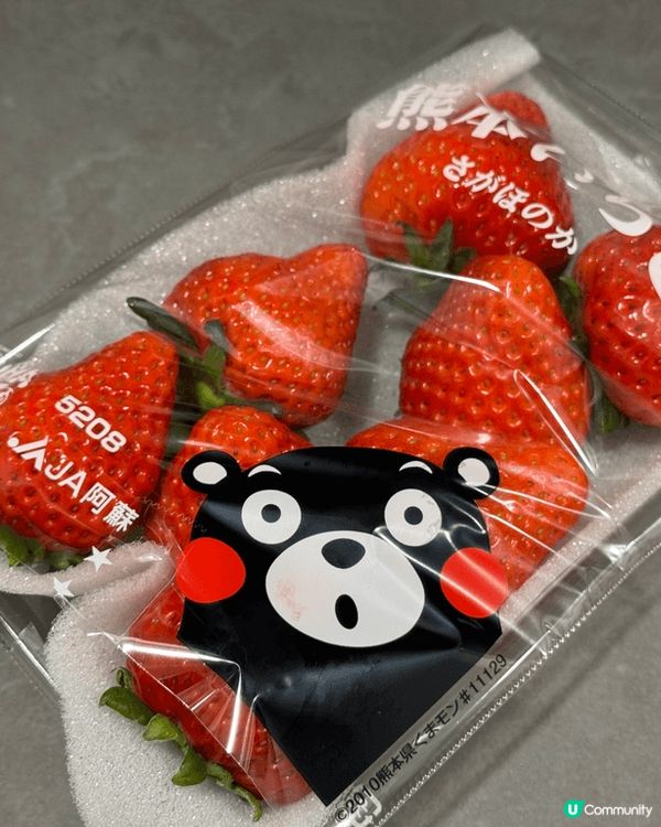 這是去年九月的福崗，城市中的神社，寧靜的神社，設計優雅，到處...