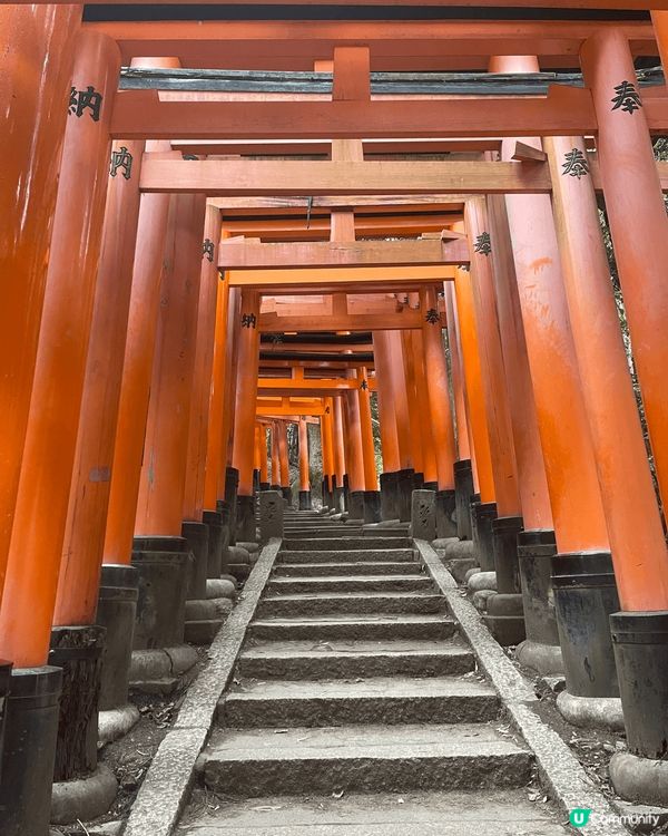 去大阪玩,不防留一至兩日去京都, 交通十分方便,可以由關西機...