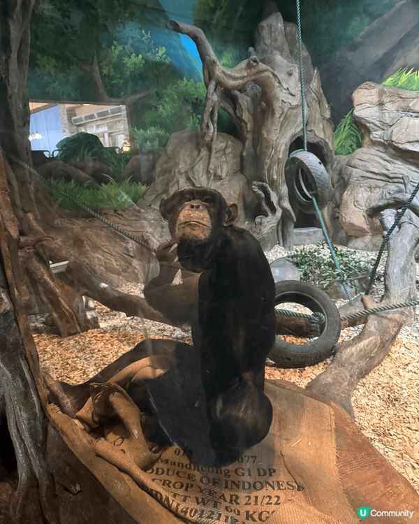 ᪥整個番禺長隆世界有三個樂園，這次介紹的是長隆廣州野生動物園...