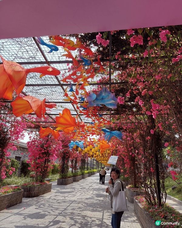 位於廣州市番禺區的嶺南印象園是一座以嶺南鄉土風情及民俗文化為...