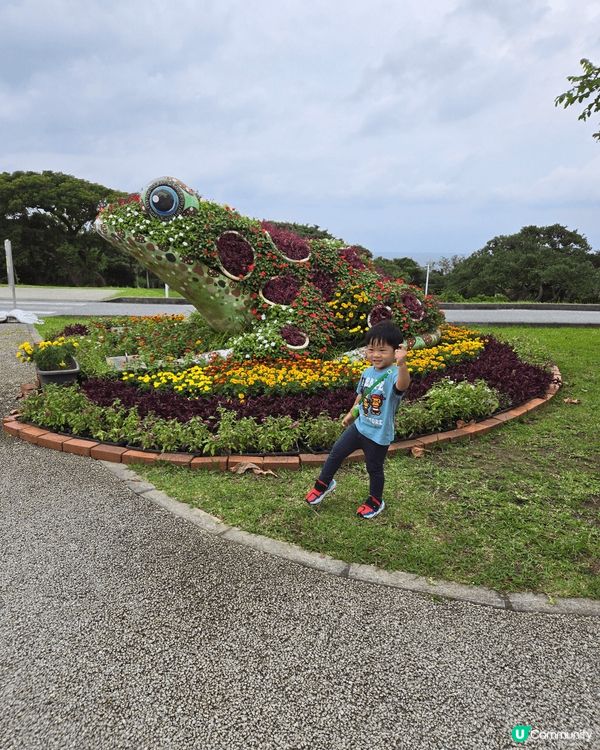 相片包括沖繩文化王國及Neo Park。行沖繩文化王國嘅玉泉...