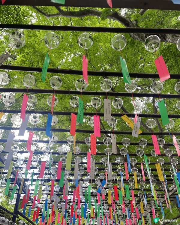 福岡青蛙寺，真係一個好有特色的寺廟，過千個風鈴被風吹響，感覺...