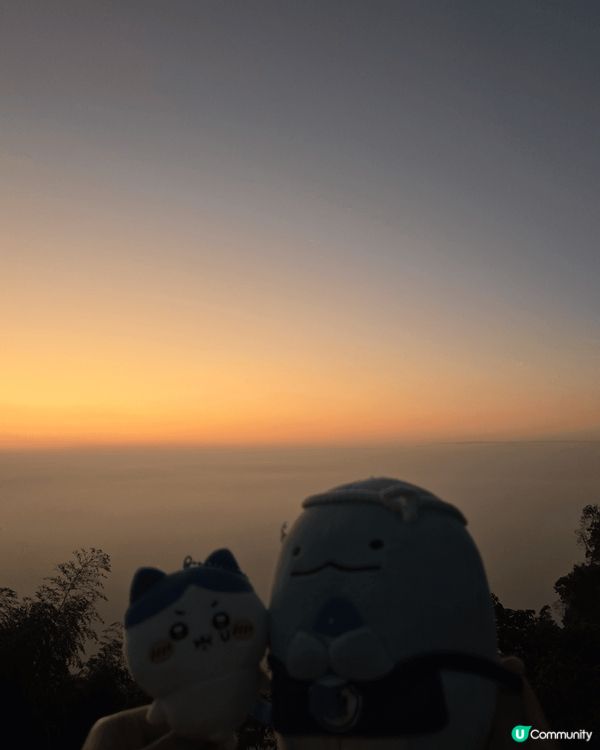 阿里山一日遊🌳