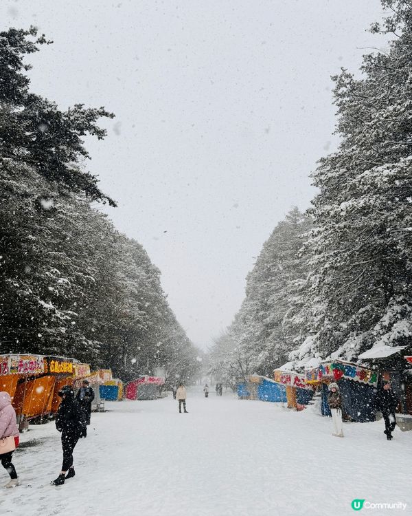 以上照片包括有：
