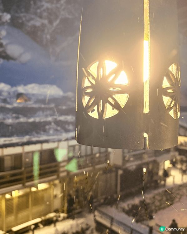 以上照片包括有：
