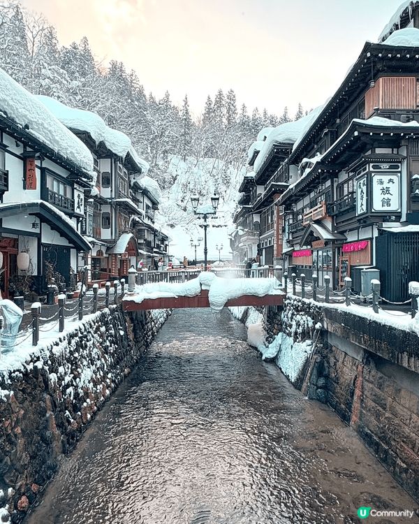 以上照片包括有：
