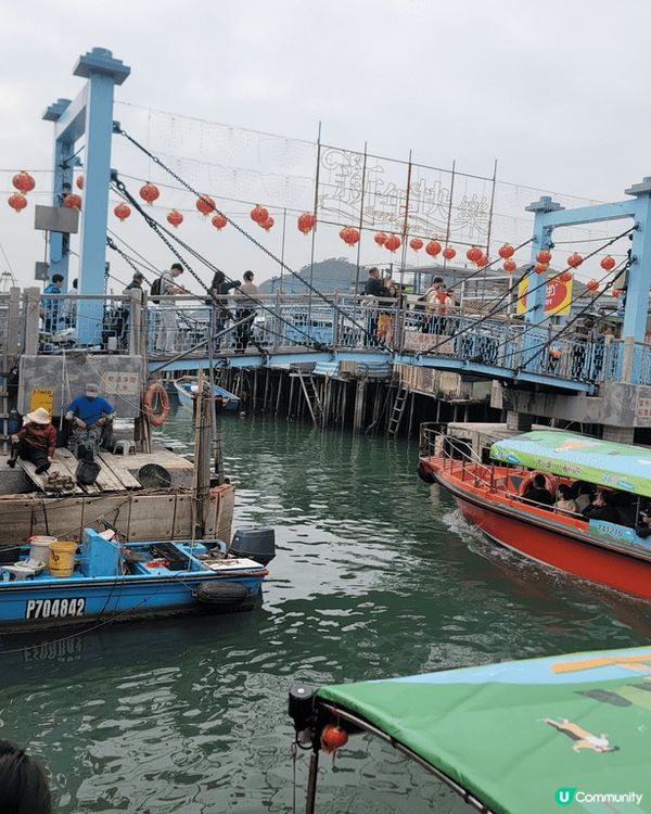 寵物旅行團 Nak Kafe@大澳 : 只要能夠同愛寵一起去...