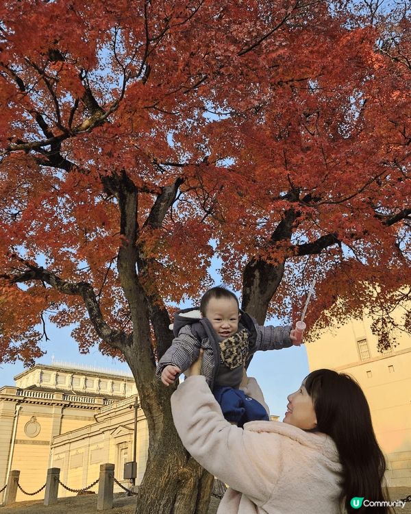 我地係木板自駕遊玩左幾個唔同既景點，感受喺日本揸車嘅樂趣，當...