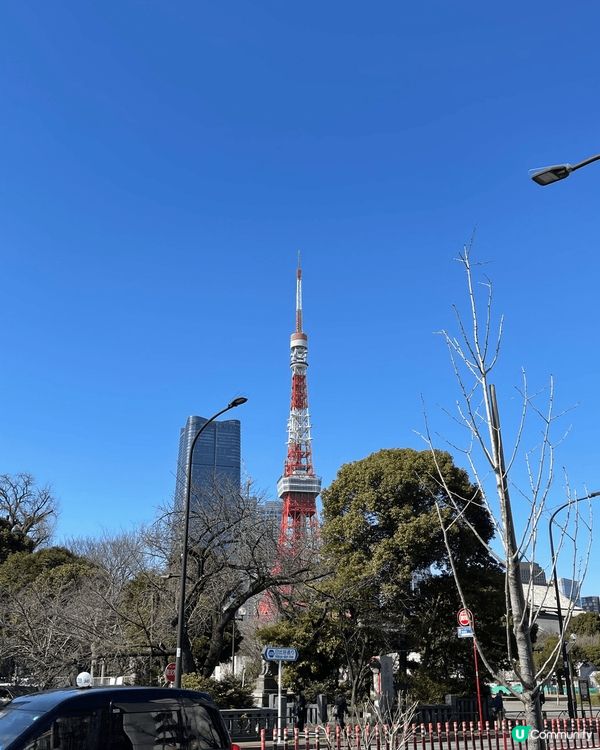 東京之旅，首先係飛機見到富士山，為行程揭幕