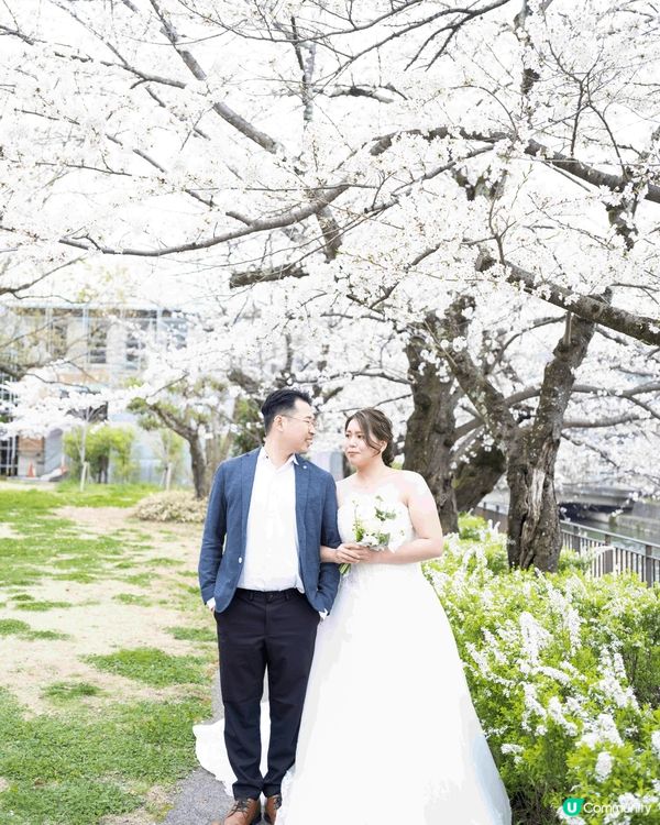 第一張係4年前同老公去大阪影婚紗相 大阪只要有櫻花 到到都係...