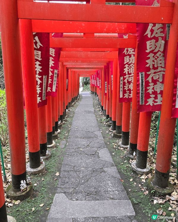 以上圖片富士山及日本神社，剛巧富士山倒影在水裡，立即拍下留念...