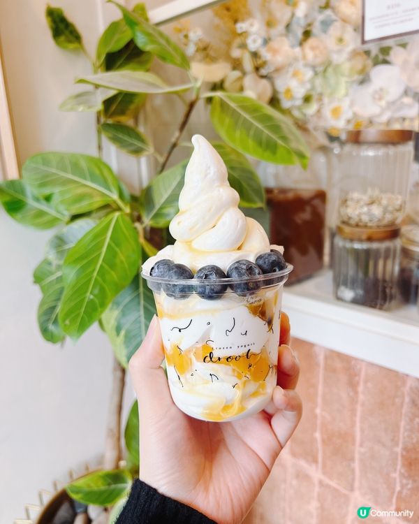 尖沙咀爆果乳酪杯!低脂+芒果百香果醬超Fresh💛😍