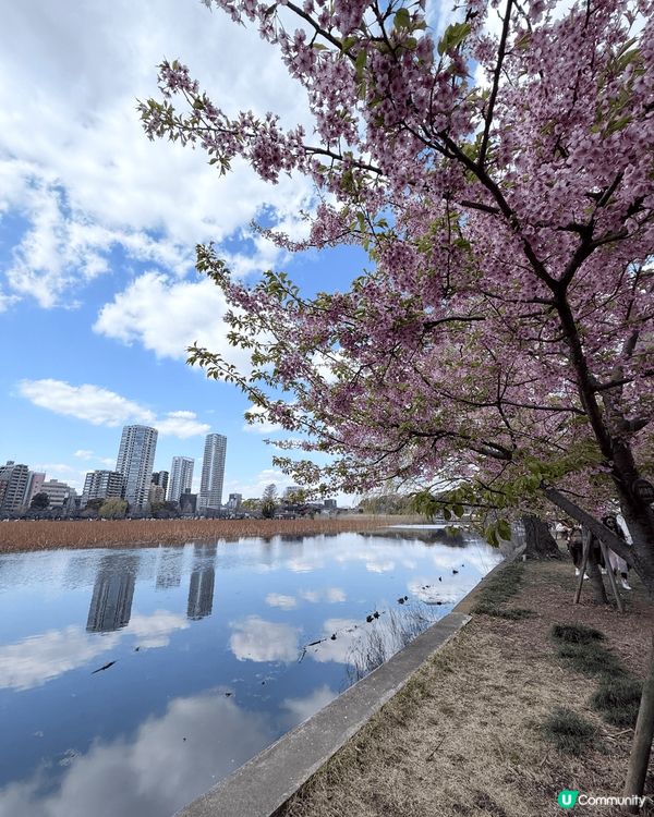 三月，東京美食加櫻花之旅！沒有想過三月氣溫變化，由令到下雪到...