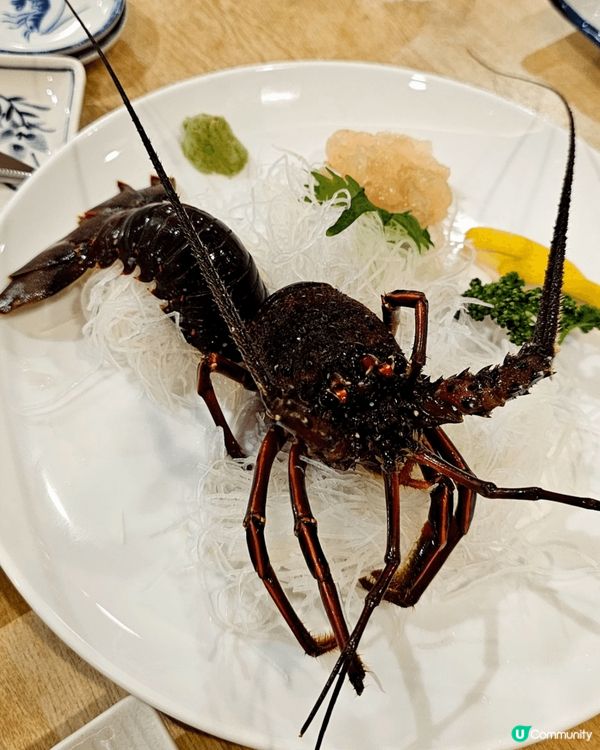 名古屋食堂旅館！好抵食！食到好飽！龍虾肉紅色架！好爽甜！左口...