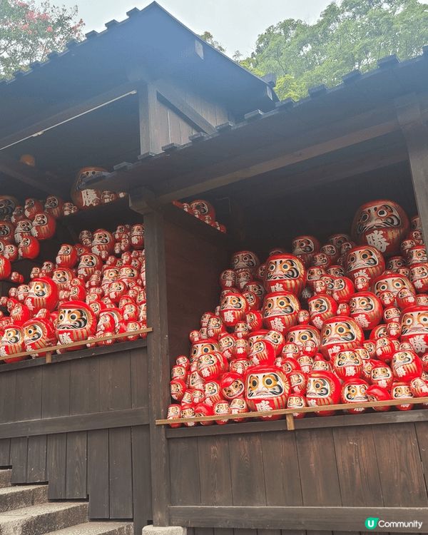 想看達摩不倒翁，所以選擇到大阪勝尾寺，途中有很多很多小達摩大...