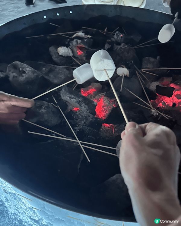 今個冬天好開心可以返家鄉最凍的北海道欣賞到真正的白色冬日美景...