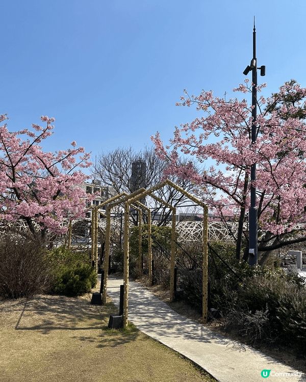 每間藥妝店/ 超市價錢都唔同