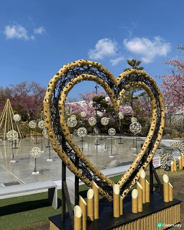 每間藥妝店/ 超市價錢都唔同