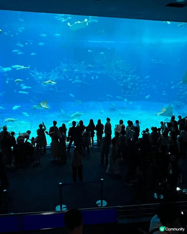 亞洲最大的水族館🐋
