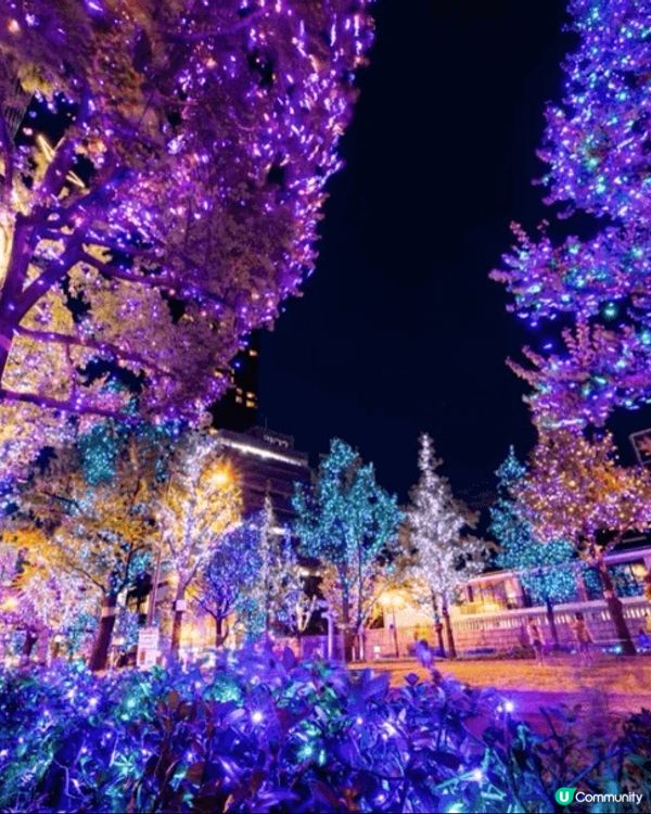 北新地 白光🍱
