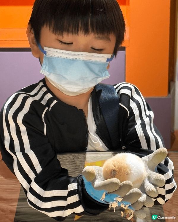 位於珠海印象城有間西遊動物園 入面有超多動物 有好多知識豐富...