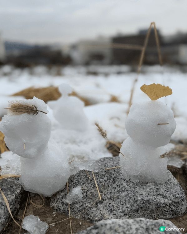 去年到台北和首爾的照片，風景和美食都是旅行不可或缺的部份，不...