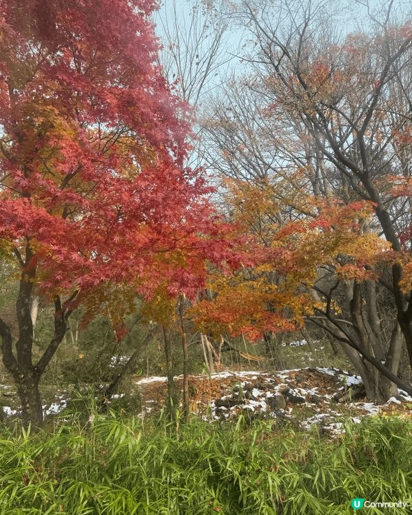 去年到台北和首爾的照片，風景和美食都是旅行不可或缺的部份，不...