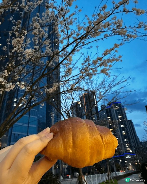 第一幅係我成世人食過最好食嘅麵包，佢係釜山青沙洞尾浦附近嘅麵...