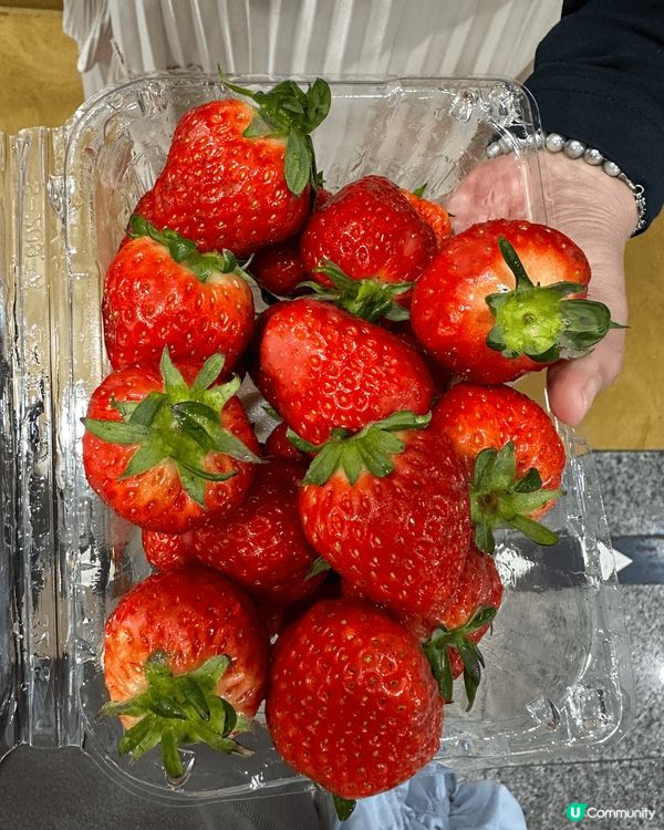 第一幅係我成世人食過最好食嘅麵包，佢係釜山青沙洞尾浦附近嘅麵...