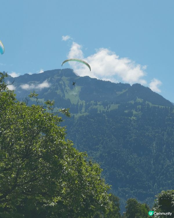 Zurich, 買野及吃burger