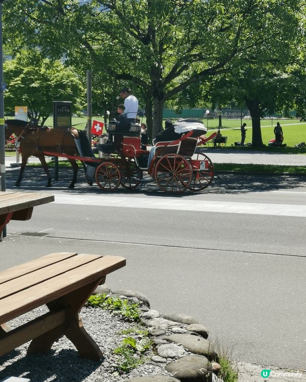 Zurich, 買野及吃burger