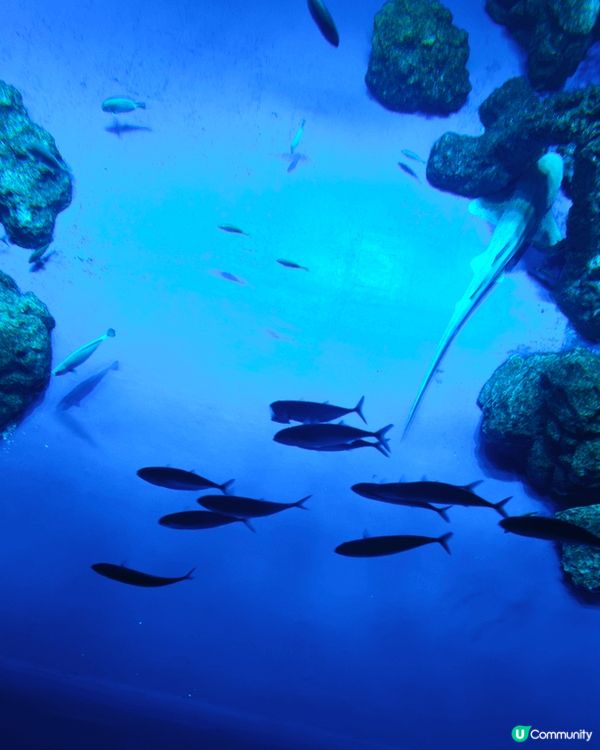 飛去日本沖繩的海岸線日與夜，早上古宇利島海旁沙灘清澈見底，晚...