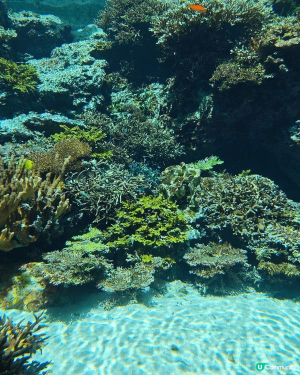 飛去日本沖繩的海岸線日與夜，早上古宇利島海旁沙灘清澈見底，晚...
