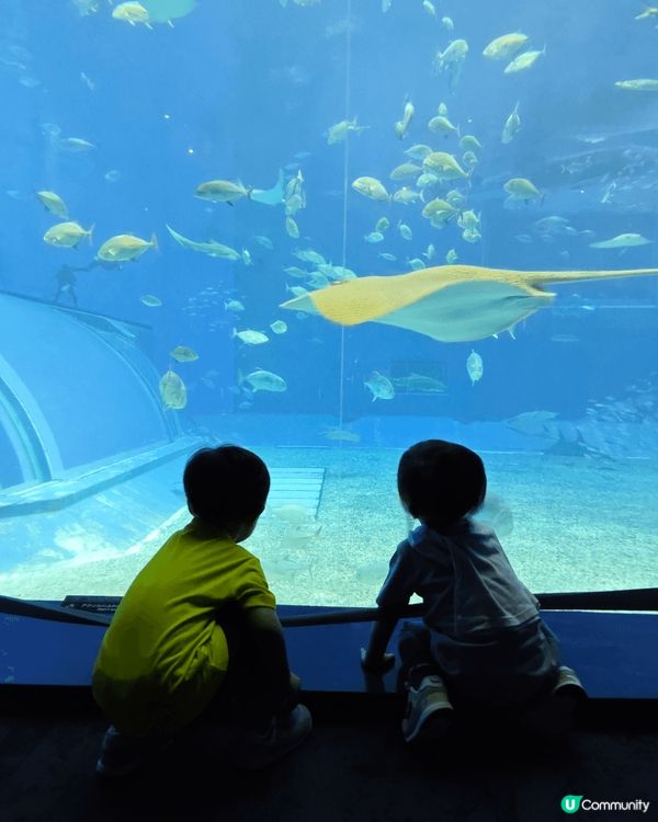 飛去日本沖繩的海岸線日與夜，早上古宇利島海旁沙灘清澈見底，晚...