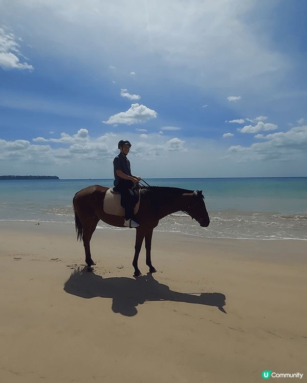普吉國際馬術俱樂部, 海天一色美景，騎住馬沙灘打卡! 正！😙...