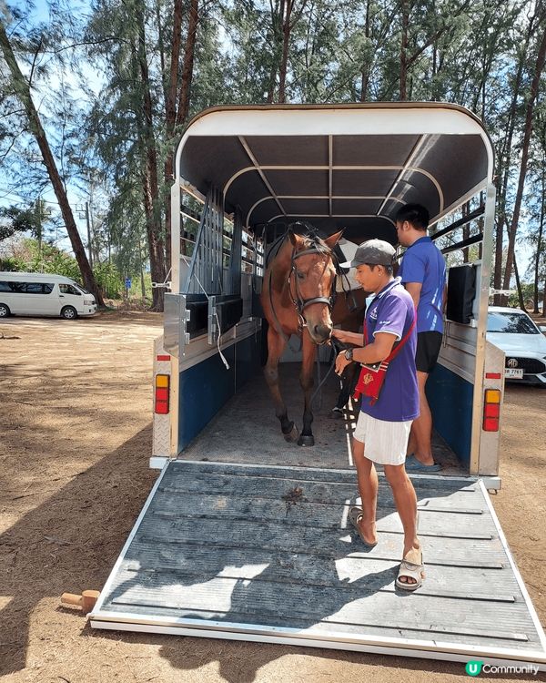 普吉國際馬術俱樂部, 海天一色美景，騎住馬沙灘打卡! 正！😙...